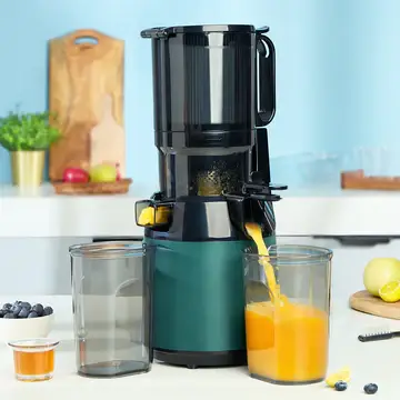 QuickBlend Electric Juicer & Smoothie Maker