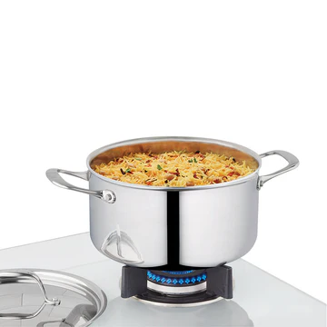 Stainless Steel Multi-Purpose Cooking Pot
