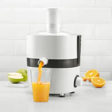 Vegetable Juicer