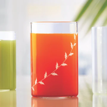 Citrus Glow Orange Drinking Glass with Leaf Design